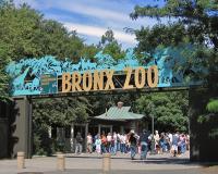 Bronx Zoo